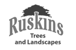 Ruskins Trees and Landscapes