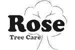 Rose Tree Care
